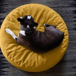 MiaCara Pouf Pour Chien Stella -dog food shop 04 pouf kalle safran