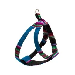 Hiro + Wolf Harnais Pour Chien Inca Blue