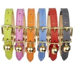 Cheshire & Wain Collier Pour Chat En Cuir Gris -dog food shop 11356512 1135743869769883 17130006 n 825b23a1 8df0 4eda a2a2 8c8b2f52e066