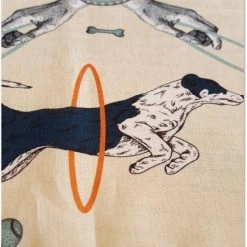 Hariet Et Rosie Le Carré Pour Cat Et Doglover -dog food shop 13537726 1132978293415100 2277504597171788823 n