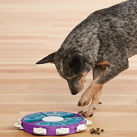 Nina Ottosson Jouet De Stimulation Dog Twister Pour Chien Niv.3 3 Nina Ottosson Jouet De Stimulation Dog Twister Pour Chien Niv.3 – Image 3