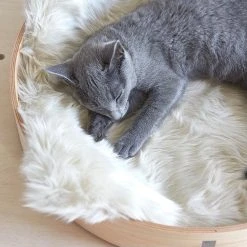 MiaCara Couverture Plaid Pour Chat Lana 10 MiaCara Couverture Plaid Pour Chat Lana -dog food shop 157191484 3744291235653561 7490591780125942566 n
