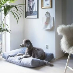 dog food shop -dog food shop 16473785 1874983916053025 1319644342246684401 n f4896cf0 260f 47a8 9df9 9469e37229c3