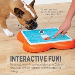 Alternative view of Nina Ottosson Puzzle Interactif Pour Chien Challenge Slider Niv.3