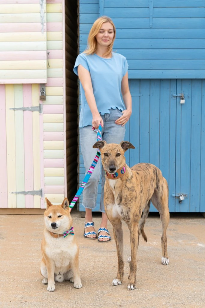Hiro + Wolf Laisse Inca Blue 5 Hiro + Wolf Laisse Inca Blue – Image 5