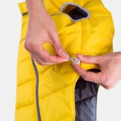 dog food shop -dog food shop 1 SABU9313 6249cdc2 f7f1 4c13 85a9 eb8370362ccb