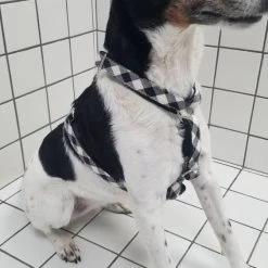 Alternative view of BROTT Harnais Pour Chien En H Cadi