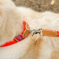 Alternative view of Hiro + Wolf Collier Pour Chien Cuir Et Tissu Inca Orange