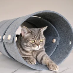 Tunnel Pour Chat FuzzPlay -dog food shop 22CE8696 3B1A 47CC B879 EFE0C584EAFC 280 000000505EC5D727Kopie 900x 7e40a57c 7090 479a ab5d 50e6cb170921
