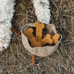 Band&roll Bol De Voyage Pour Chien Pliable Melo Band & Roll 15 Band&roll Bol De Voyage Pour Chien Pliable Melo Band & Roll -dog food shop 244643768 2962370390642316 8361220037470814286 n