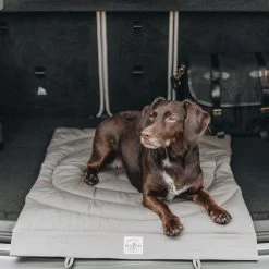 Band&roll Matelas De Voyage Pour Chien Enroulable Compass Band & Roll -dog food shop 257632696 2992322257647129 630481322426588072 n