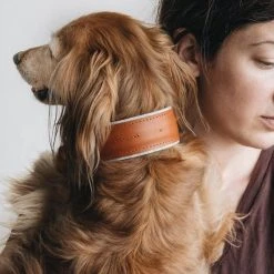Band&roll Collier Pour Chien Pine En Cuir Et Laine 23 Band&roll Collier Pour Chien Pine En Cuir Et Laine -dog food shop 27649a8a414f9ce705159fa0e4bb7142