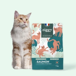 Alternative view of Ziggy Croquettes Chat Stérilisé Sans Céréales Au Saumon