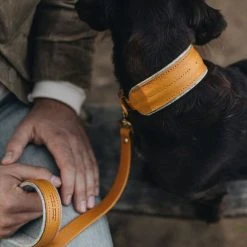 Band&roll Collier Pour Chien Pine En Cuir Et Laine 21 Band&roll Collier Pour Chien Pine En Cuir Et Laine -dog food shop 84c62e57db6d1cf7a68fecfe036e1fe4