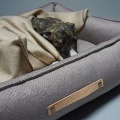 Alternative view of Labbvenn Panier TÖVE