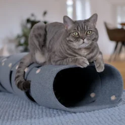 Tunnel Pour Chat FuzzPlay -dog food shop A5D2BA31 73A3 40B7 BAF4 624259CB9AB5 5144 000002CBDD40BB20Kopie 900x 9bc85df8 c245 4c75 96fc 859eb381d79d