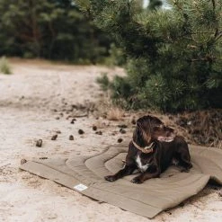 Band&roll Matelas De Voyage Pour Chien Enroulable Compass Band & Roll -dog food shop Adogontheblanketinthewoods 720x 9d7546b6 7267 449e 8a06 580bb2043e16
