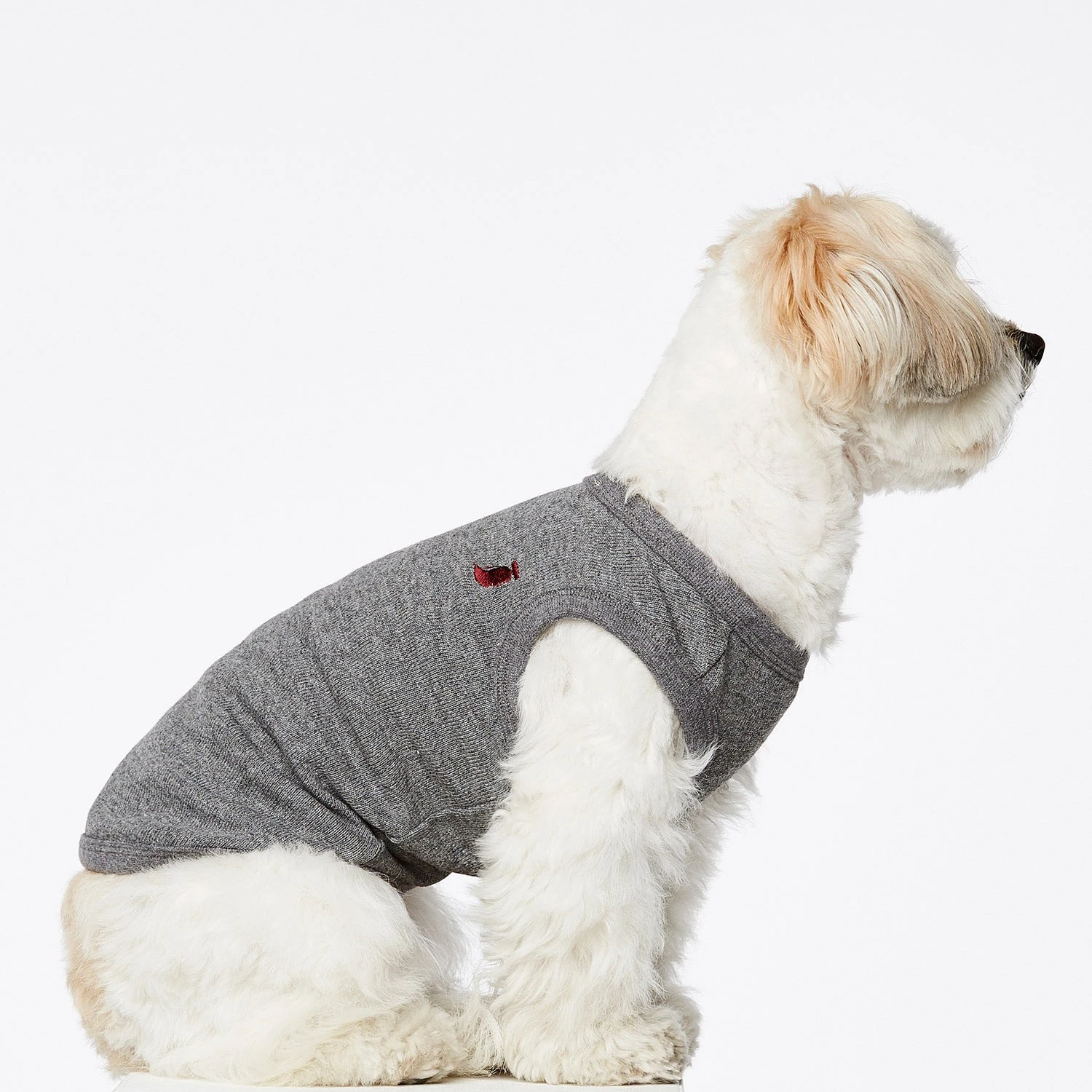 The Painter's Wife Body Pour Chien Josef 1 The Painter's Wife Body Pour Chien Josef