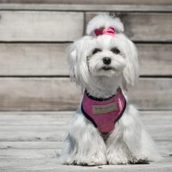 Bowl And Bone Harnais Candy Avec Laisse 15 Bowl And Bone Harnais Candy Avec Laisse -dog food shop BowlAndBone Republic harness for dog CANDY set pink LS2S