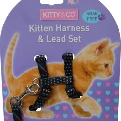 Hemmo And Co Harnais Et Laisse à Pois Pour Chaton
