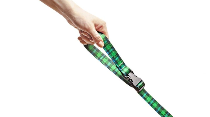 Stunt Puppy Laisse Souple Lumberpup Buffalo 4 Stunt Puppy Laisse Souple Lumberpup Buffalo – Image 4