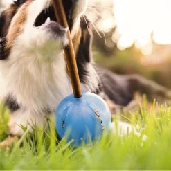 Planet Dog Jeu De Réflexion Pour Chien Orbee-Tuff Guru 7 Planet Dog Jeu De Réflexion Pour Chien Orbee-Tuff Guru -dog food shop Captureguru2