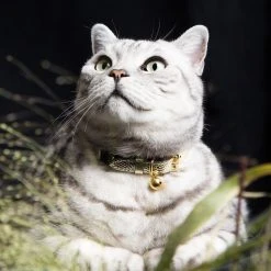 Alternative view of Cheshire & Wain Collier Pour Chat En Cuir Caspian
