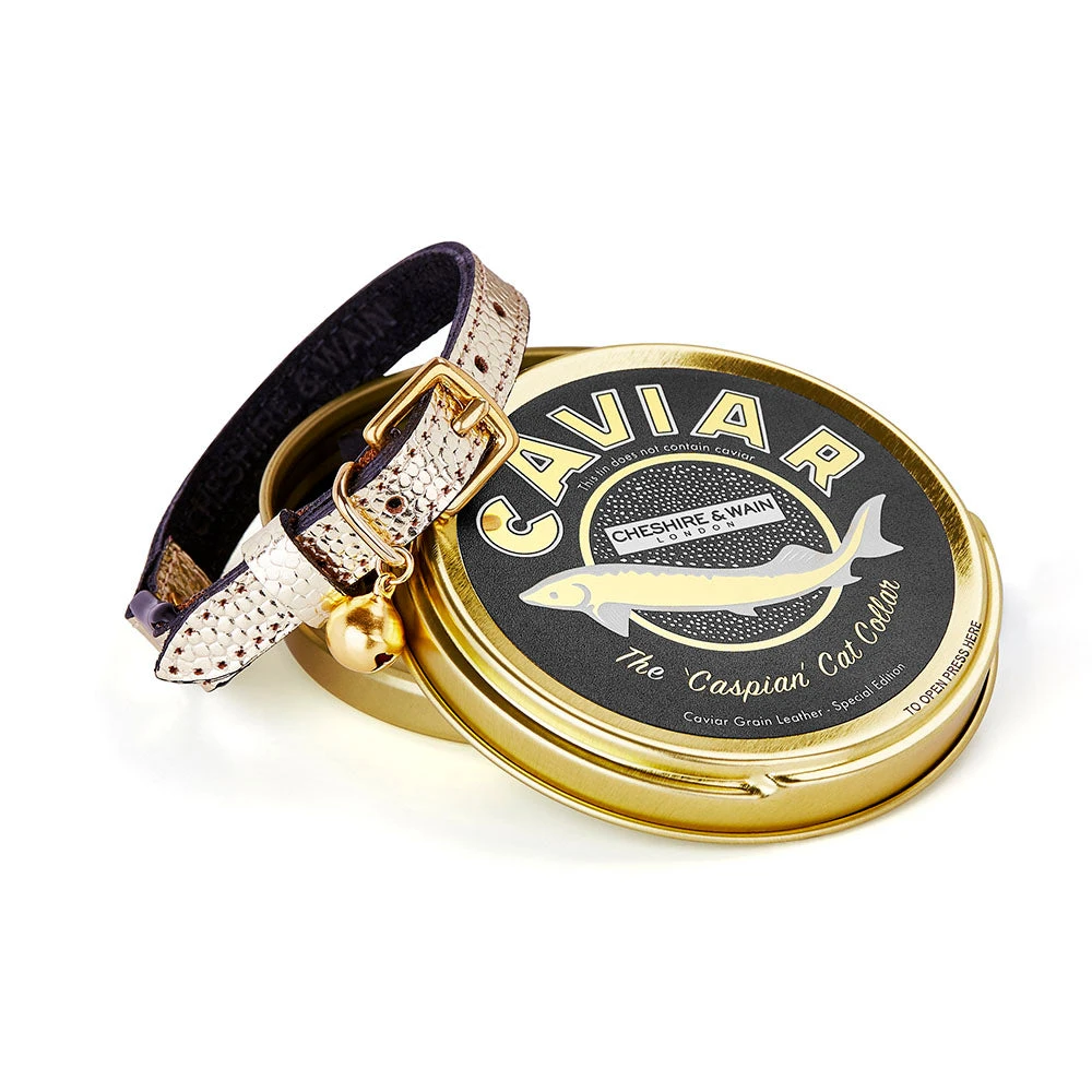 Cheshire & Wain Collier Pour Chat En Cuir Caspian 1 Cheshire & Wain Collier Pour Chat En Cuir Caspian