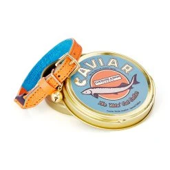 Cheshire & Wain Collier Pour Chat En Cuir Keta Caviar