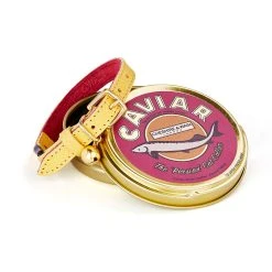 Cheshire & Wain Collier Pour Chat En Cuir Persian Caviar