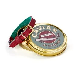 Cheshire & Wain Collier Pour Chat En Cuir Tsar Caviar