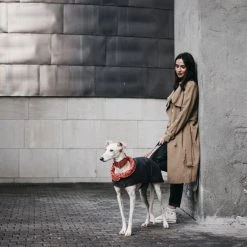 BROTT Manteau Pour Lévriers -dog food shop ChaquetasBrott 64 800x533