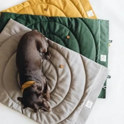 Band&roll Matelas De Voyage Pour Chien Enroulable Compass Band & Roll -dog food shop Compass blanket color palette3 720x b7f9306b c228 4883 808e e12ce37a0d34