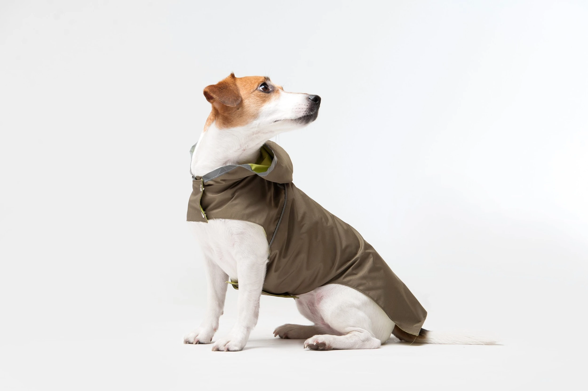 Woofit Imperméable Pour Chien Toutes Tailles 2 Woofit Imperméable Pour Chien Toutes Tailles – Image 2