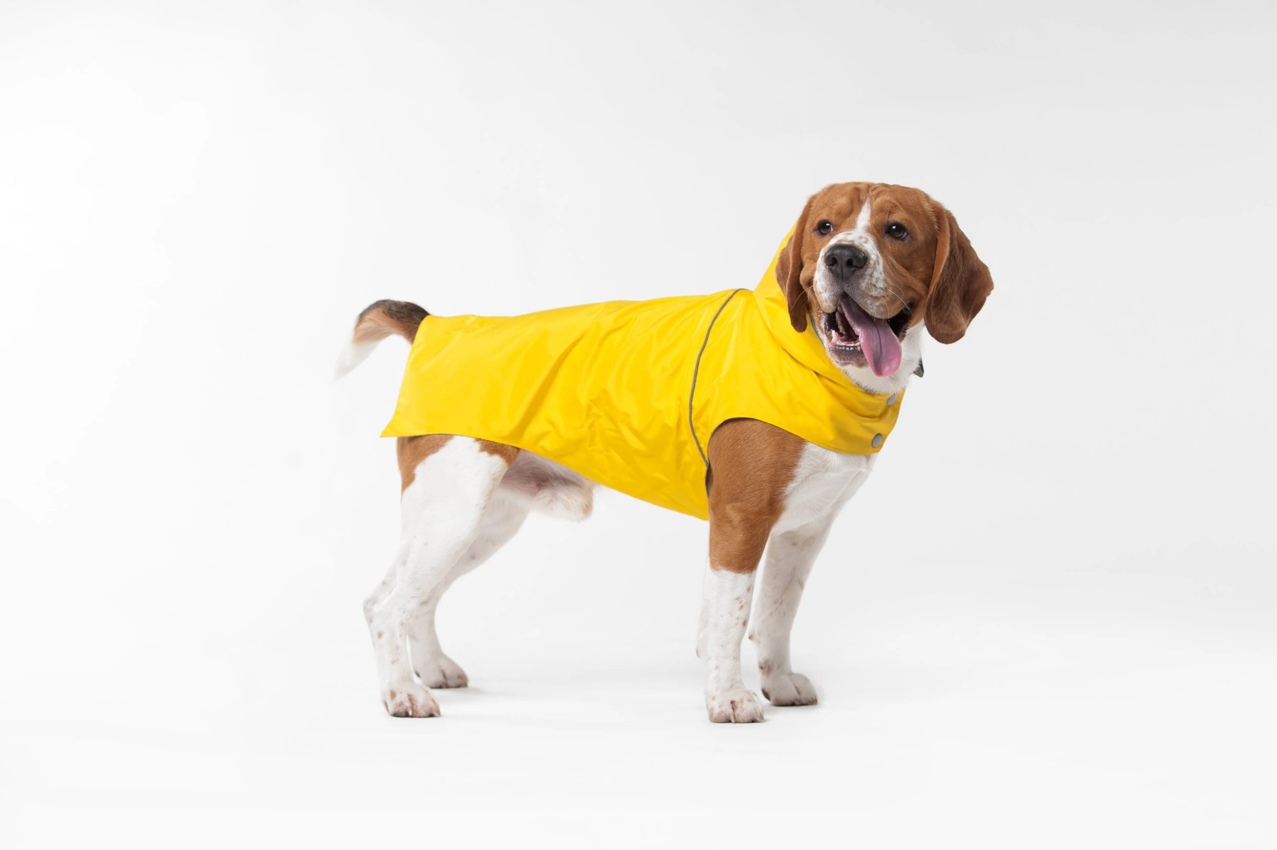 Woofit Imperméable Pour Chien Toutes Tailles 1 Woofit Imperméable Pour Chien Toutes Tailles