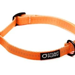Stunt Puppy Collier Pour Chien Souple Everyday (3 Couleurs) 13 Stunt Puppy Collier Pour Chien Souple Everyday (3 Couleurs) -dog food shop EverydayCollar Orange S 1 1024x1024 4c62ccc6 55f9 41d9 ac4d eb1bb2ae318b