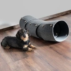 Tunnel Pour Chat FuzzPlay -dog food shop FreddyDez.2021 3628 Bearbeitet 900x bda209d9 2387 49f5 86d0 77434b825845
