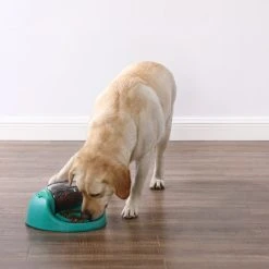 Alternative view of Nina Ottosson Puzzle Pour Chien Spin N' Eat