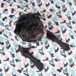 Woofit Manteau Pour Petit Chien -dog food shop GetAttachmentThumbnail 4c8bbd59 5e7d 4959 98df 390fb2eb6006