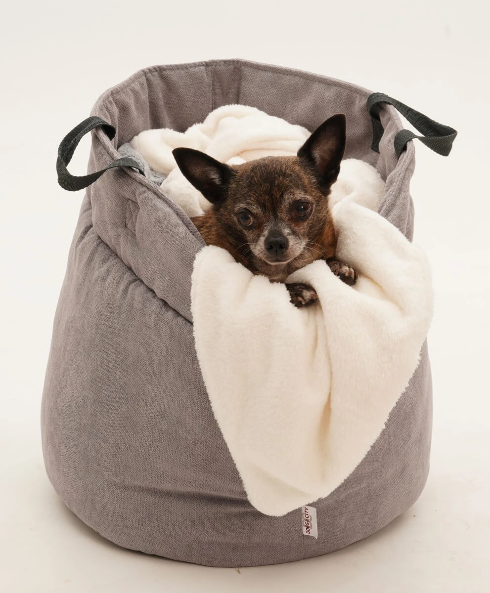 Dogs In The City Panier Polyvalent Shopper 6 Dogs In The City Panier Polyvalent Shopper – Image 6