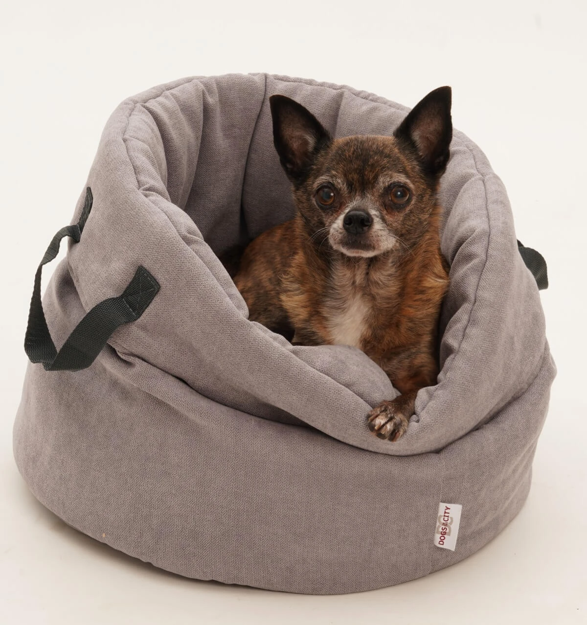 Dogs In The City Panier Polyvalent Shopper 3 Dogs In The City Panier Polyvalent Shopper – Image 3