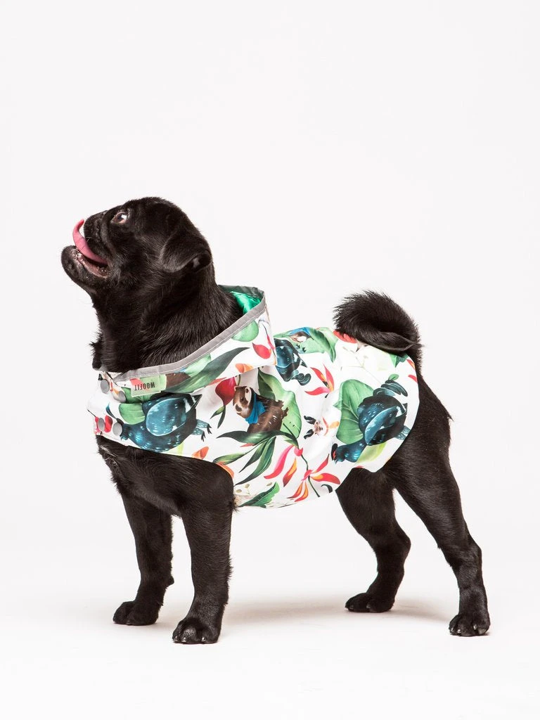 Woofit Imperméable Pour Chien Toutes Tailles 10 Woofit Imperméable Pour Chien Toutes Tailles – Image 10