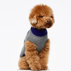 The Painter's Wife Pull En Laine Pour Chien Mark