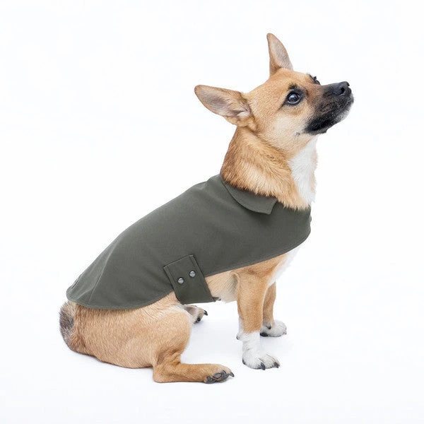 Jolie Dog Imperméable Pour Petit Chien Microfibres 5 Jolie Dog Imperméable Pour Petit Chien Microfibres – Image 5