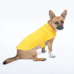 Jolie Dog Imperméable Pour Petit Chien Microfibres 14 Jolie Dog Imperméable Pour Petit Chien Microfibres -dog food shop Jolie Dog Arthur yellow1 grande 69966b65 6e70 4b5e 99b8 68053ddf003b