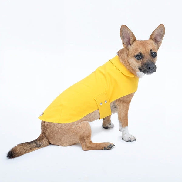 Jolie Dog Imperméable Pour Petit Chien Microfibres 3 Jolie Dog Imperméable Pour Petit Chien Microfibres – Image 3