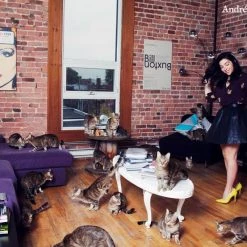 Hariet Et Rosie Photo Encadrée Série Crazy Cat Lover : Judith