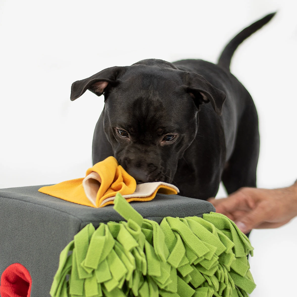 KNAUDER'S BEST Jeu D’occupation Pour Chien Sniffbox 2 KNAUDER'S BEST Jeu D’occupation Pour Chien Sniffbox – Image 2
