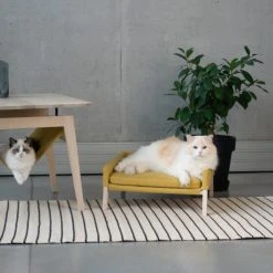 Labbvenn Hamac Pour Chat - Table Basse Kikko 11 Labbvenn Hamac Pour Chat - Table Basse Kikko -dog food shop Kikko and Lulu2web