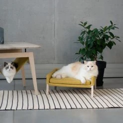 Alternative view of Labbvenn Banquette Lit Pour Chat Et Chien Lulu